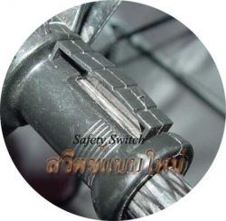 ร่ม